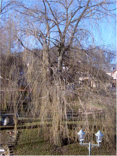 Vorher